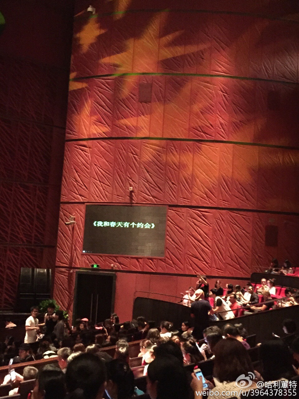 show-16.jpg