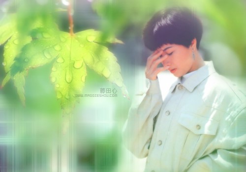 [ͼ]ĵĲBDN 331ո£   <font color=red>     ѽ</font